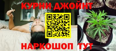 амф Бийск