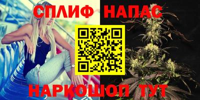 амф Бийск